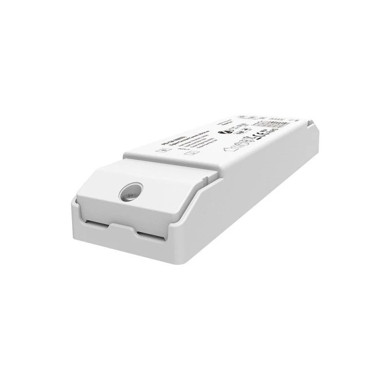 2CH CCT ZigBee 3.0 LED இயக்கி நிலையான மின்னோட்டம் (150-450mA)